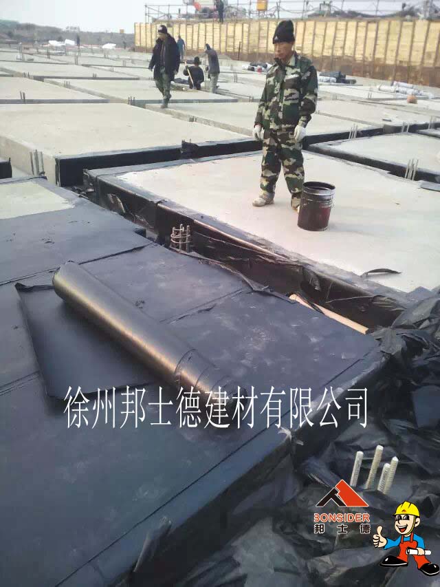 哈爾濱濕地水上樂園防水工程 (7).jpg